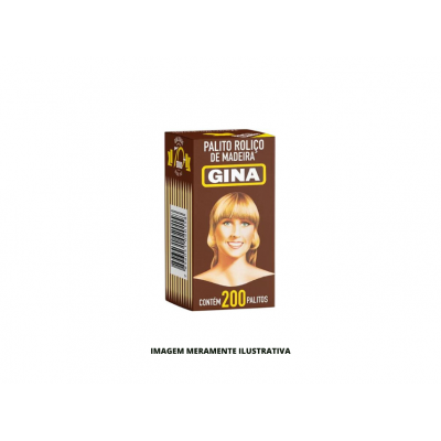 PALITO DE DENTE - GINA - 200UN - DP20